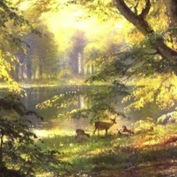 125-69-home_default2x